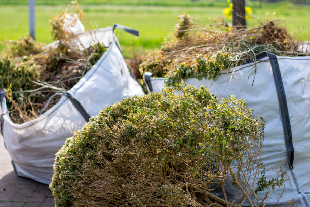 Best Yard Cleanup Services  in Pacific, MO